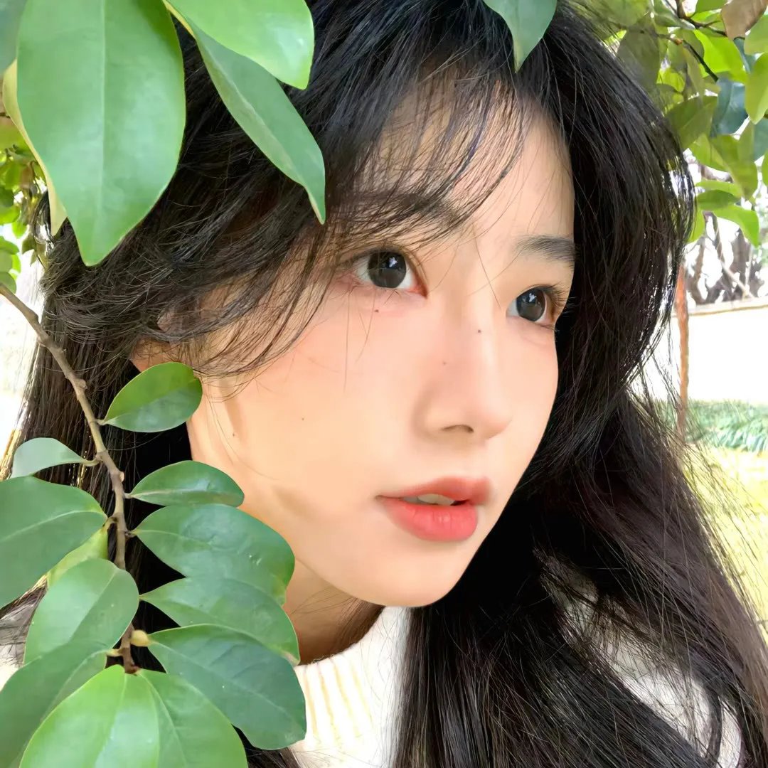 公开赛魅影
